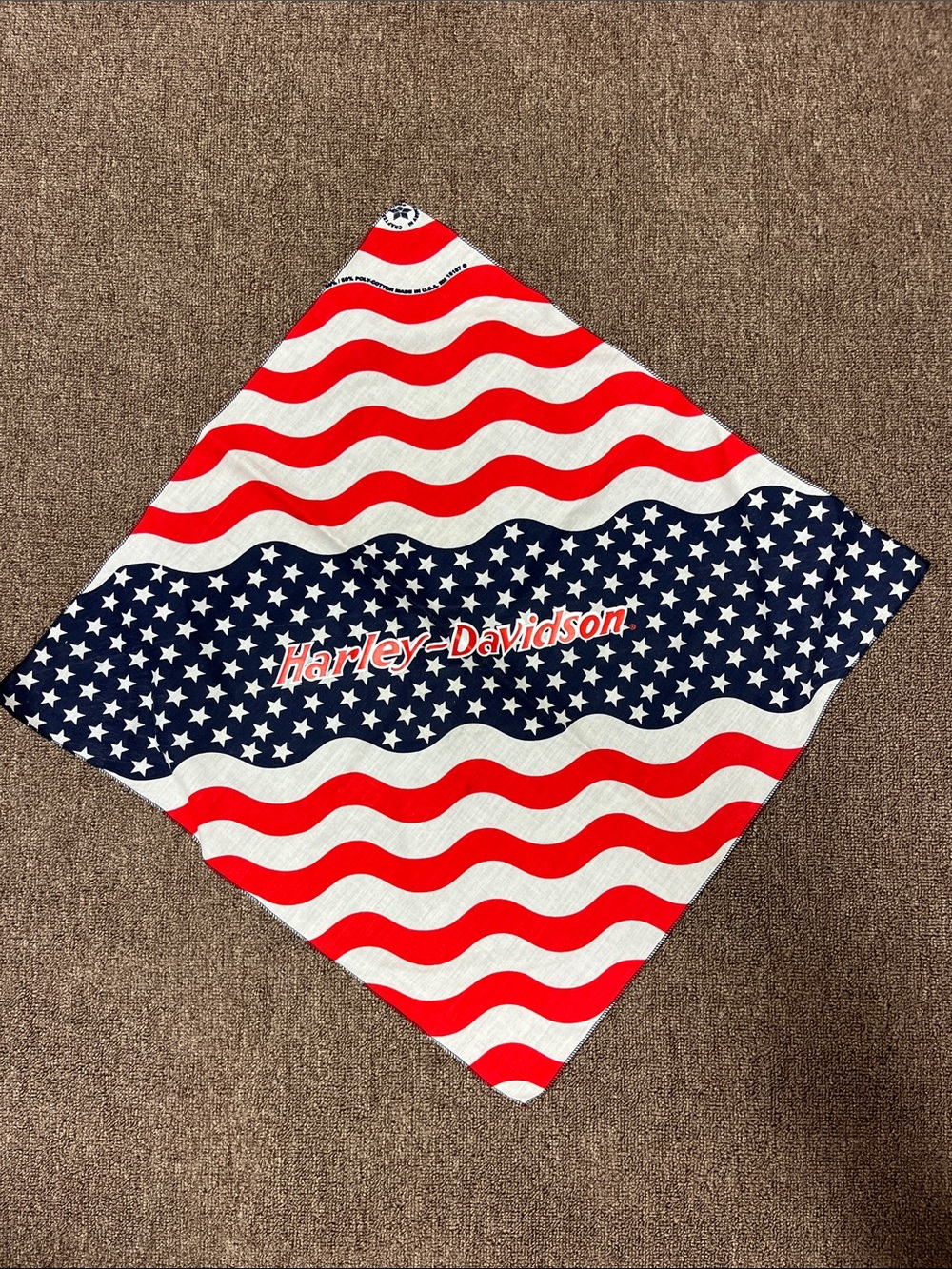 Harley Davidson bandana